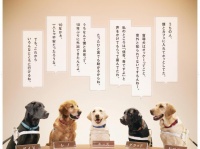 話題のポスター（協力:ACジャパン）