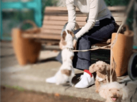 インスタグラム：佐々木希（@nozomisasaki_official）より