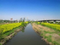 見沼田圃とさいたま新都心（京浜にけさん撮影, Wikimedia Commons