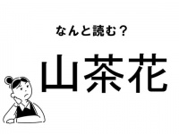 【難読】“やまちゃばな”ってなに！？「山茶花」の正しい読み方