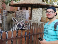 んぬ？微妙な違和感。エジプトの動物園がロバを白黒に塗ってシマウマとして展示していた件