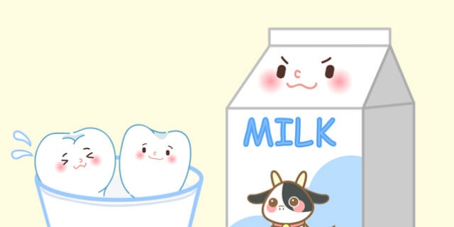 牛乳と歯