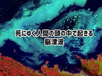 死の間際、人間の脳内では「脳津波」が広がっていることが判明