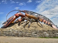 推定年齢100歳の巨大ロブスターが釣り上げられる