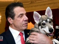 女性スキャンダルで辞任表明のニューヨーク知事、今度は飼い犬を置き去りにしたと非難受ける