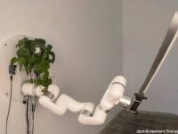 植物にも防衛のチャンスを与えたい。観葉植物に電気信号で動く武器を持たせてみた