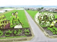 田舎館村の田んぼアート「ローマの休日」（画像提供：田舎館村企画観光課）