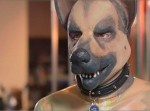 子犬になりきるプレイ「PUP PLAY」に興味はありますか？