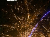 京都市内では最大規模のイルミネーションだ（筆者撮影）