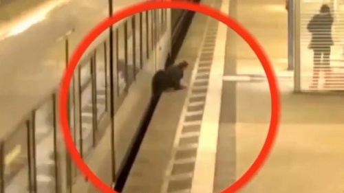 電車に巻き込まれる