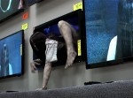 貞子が本当に出てきた！？　家電量販店で恐怖のドッキリを敢行