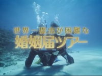 画像は動画のスクリーンショットから