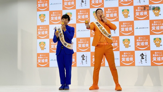 愛媛みかん