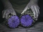 ブラックライトで撮影するとフルーツがすっごい不味そう…