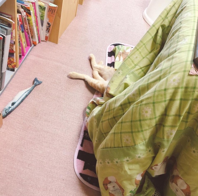 あるべるちーな（＠_Alber_tina）さんのツイートより