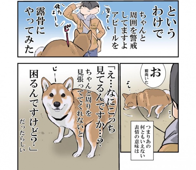 石原さんのツイートより