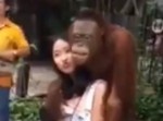 まるでエロおやじ！　女の子にセクハラをするオラウータンにびっくり！