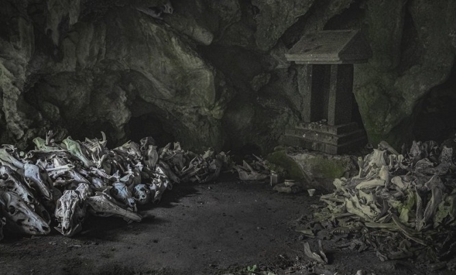 「冥界に迷い込んだ心地がしました」　頭蓋骨うずたかく積まれた「山の洞窟」発見される→ここは何？地元に聞いた