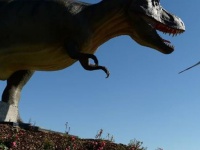9900万年前の恐竜の尻尾が発見される