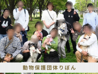 Eager Beaverのプレスリリース画像