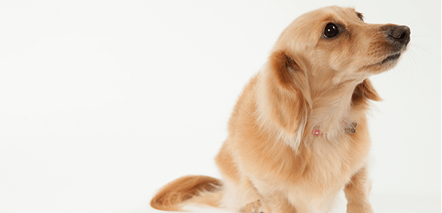 「Doctors Me（ドクターズミー）」コラム画像