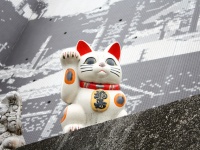画像はイメージです（cyesutaさん撮影、Flickrより）