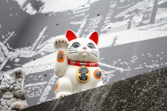 画像はイメージです（cyesutaさん撮影、Flickrより）