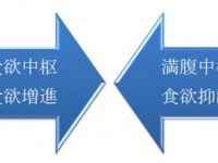 合同会社　メンタルナビのプレスリリース画像