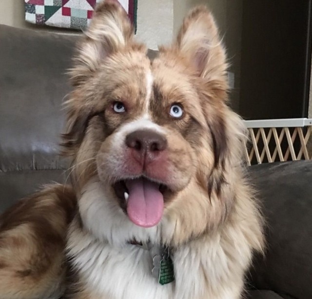 スクリーンショット 2016-04-24 19.58.55