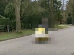 水陸両用っぽい？　ジェットスキーを改造したバイクが颯爽と走る！