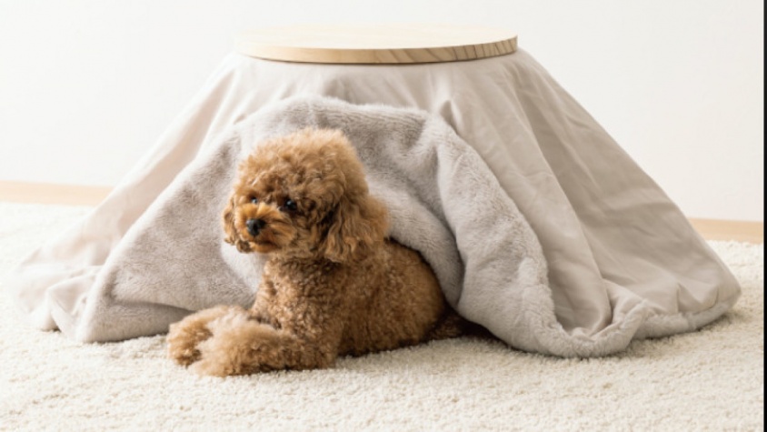 3COINSの公式サイトより