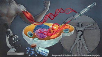 人間の筋肉遺伝子を移植したパン酵母が開発される