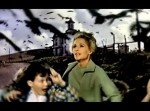 まるであの名作映画？　アメリカの住宅街に『鳥』が大量発生！