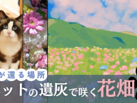 サードリングのプレスリリース画像