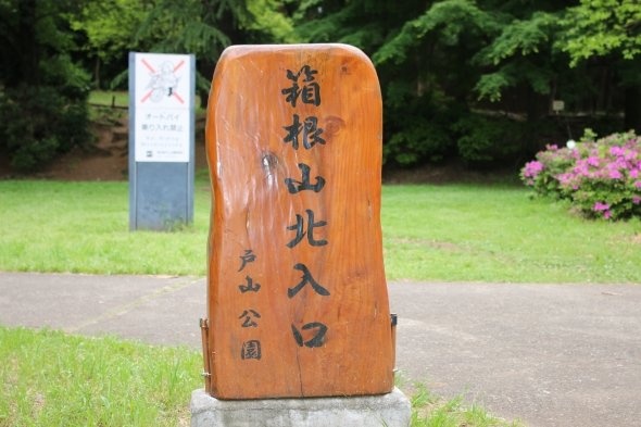town_IMG_3922.jpg