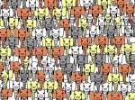 【パンダを探せシリーズ】象の中にいるパンダ、見つけられる？