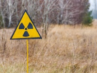 チェルノブイリに生息する線虫、全く放射線の影響を受けないことが判明