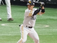 近藤健介