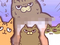 アレな生態系日常漫画「いぶかればいぶかろう」第24回：猫たちの名前ってどうやって決めたの？