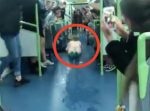 最悪だけど最高！笑　真っ裸の男性が電車内でヘッドスライディング！