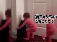 猫と子供のドリームチーム結成！ニャイスコンビネーションでドアを開けることに成功！