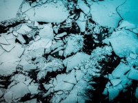 南極の海で100万年前の古代生物のDNAを発見、これまで確認されたものの中で最古