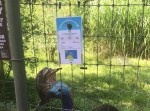 ビックウェーブを逆利用？　動物を「ポケモンＧＯ」風に説明する動物園が話題に