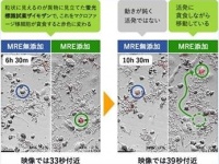 株式会社創健のプレスリリース画像