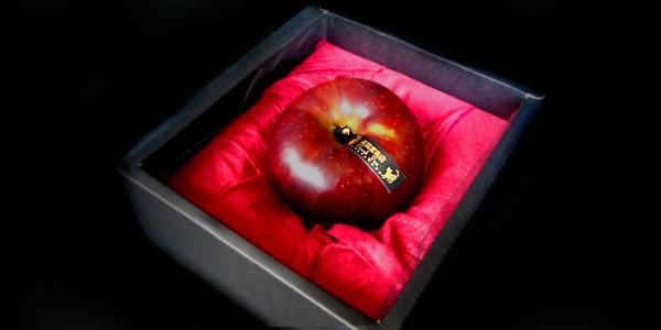 赤黒い毒リンゴ