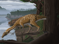 オーストラリアで初めて発見された珍恐竜「エラフロサウルス」は肉食から草食へと変化する