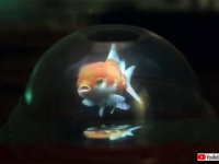 夏休みの工作にアリかも！フラペチーノの蓋を利用して、金魚の3D風映像を作る方法