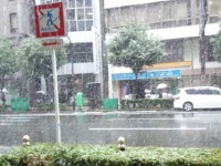 「帰りの電車まで時間をつぶしていたら、突然の大雨。駅に戻れなくなった私の前にやってきたのは...」（神奈川県・30代女性）