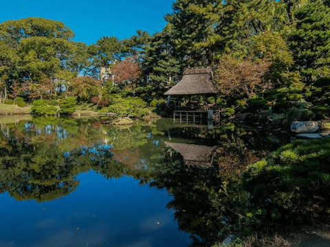 広島で一人旅をすれば自分磨きができる！　明日にも広島へ行きたくなるおすすめスポット3選#3