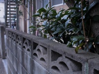 非常識な「息子」と「シングルマザー」（画像はイメージ）